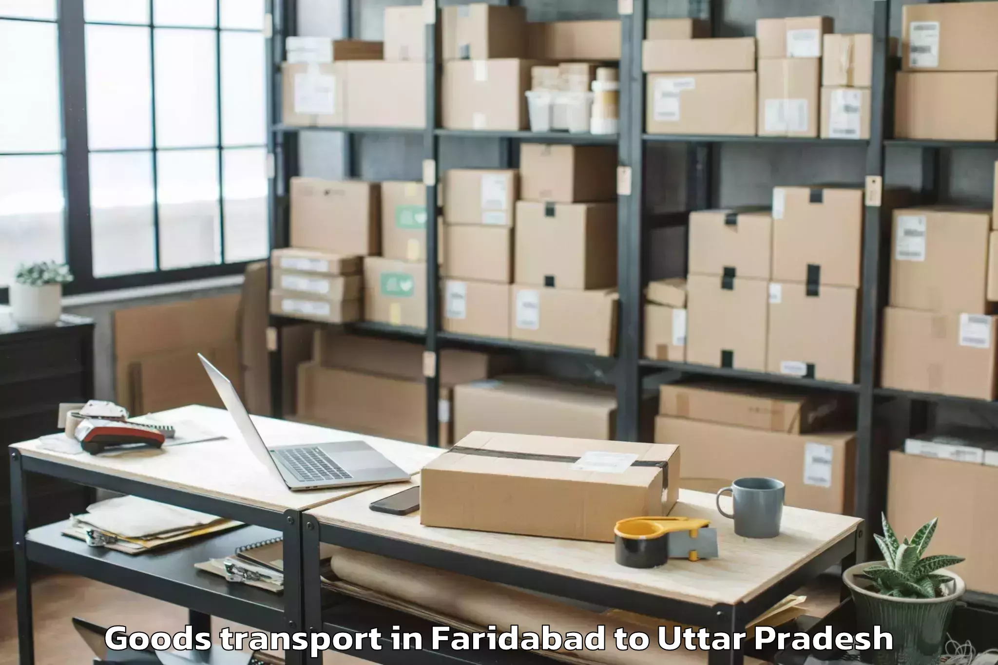 Reliable Faridabad to Rani Lakshmi Bai Central Agric Goods Transport